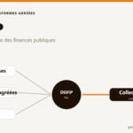 Illustration de la DGFiP qui immatricule les plateformes agréées et collecte les données fiscales