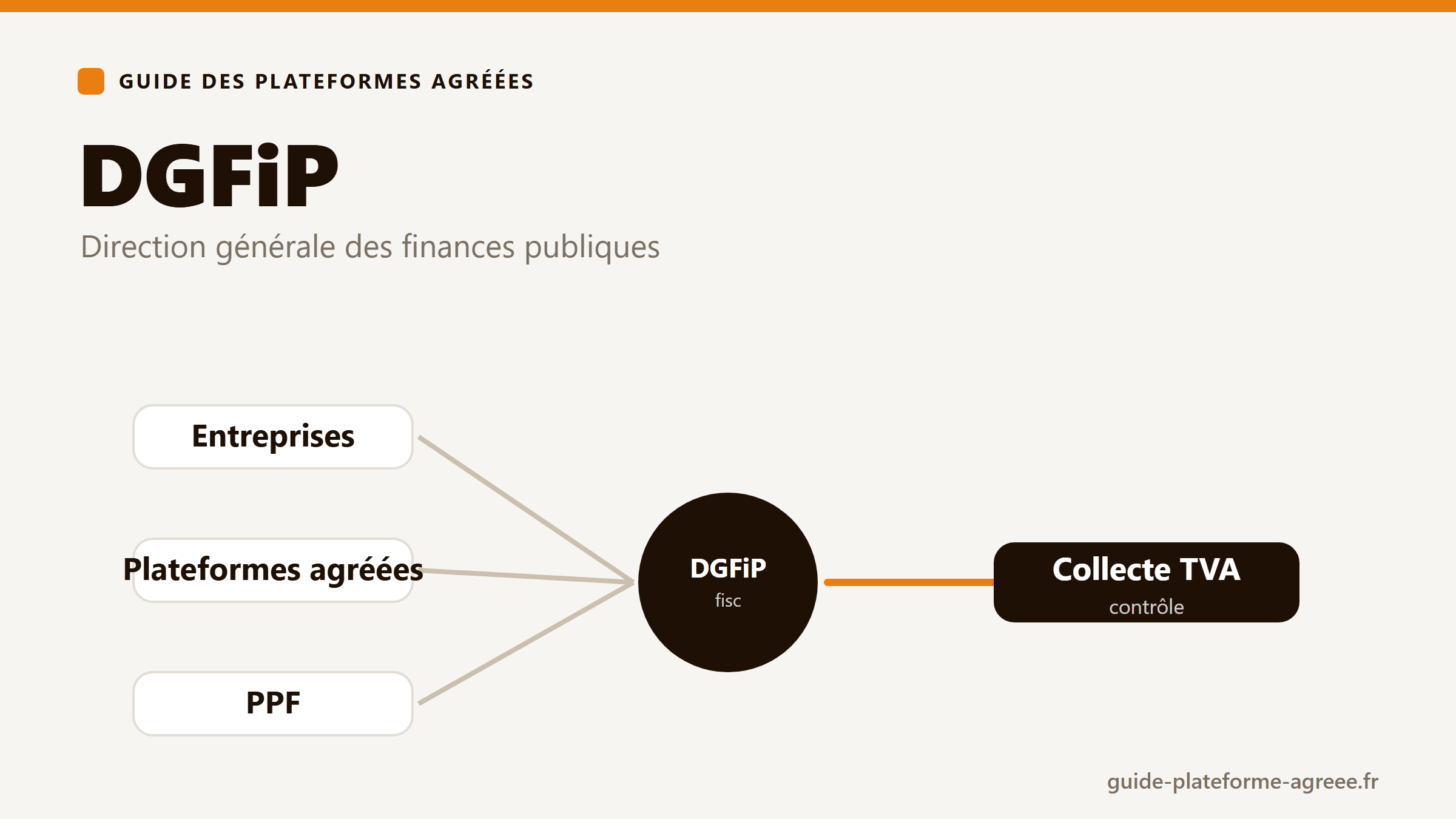 Illustration de la DGFiP qui immatricule les plateformes agréées et collecte les données fiscales
