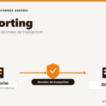 Illustration de l'e-reporting : transmission des données de transactions B2C et internationales à la DGFiP