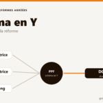Illustration du schéma en Y : les plateformes agréées échangent les factures et transmettent les données au PPF puis à la DGFiP